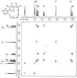 2D NMR contour plot of a dehydroannulene